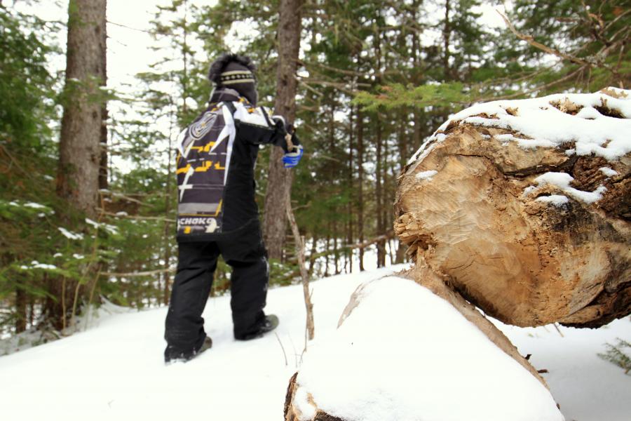 Kouchibouguac River Trail (James Donald, HikingNB)