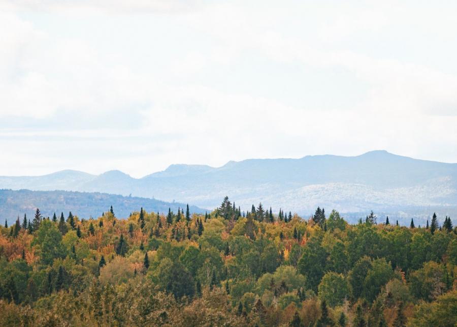 Mount Carleton
