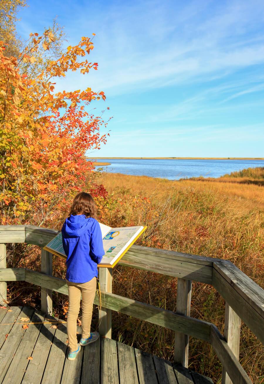 Salt Marsh Trail at Kouchibouguac National Park