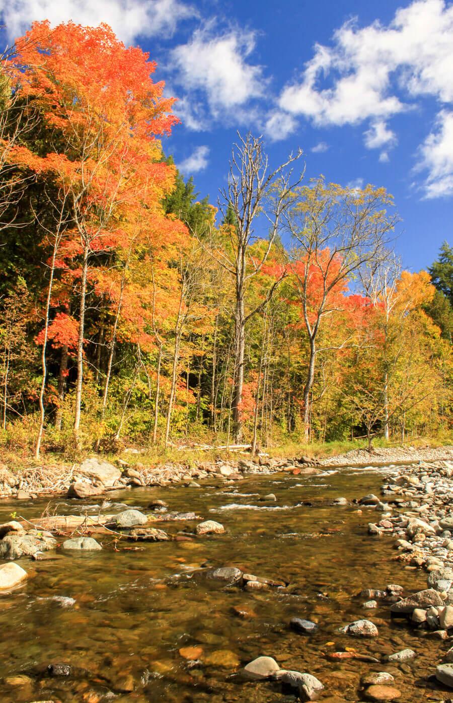 Shiktehawk Stream Trail near Florenceville-Bristol