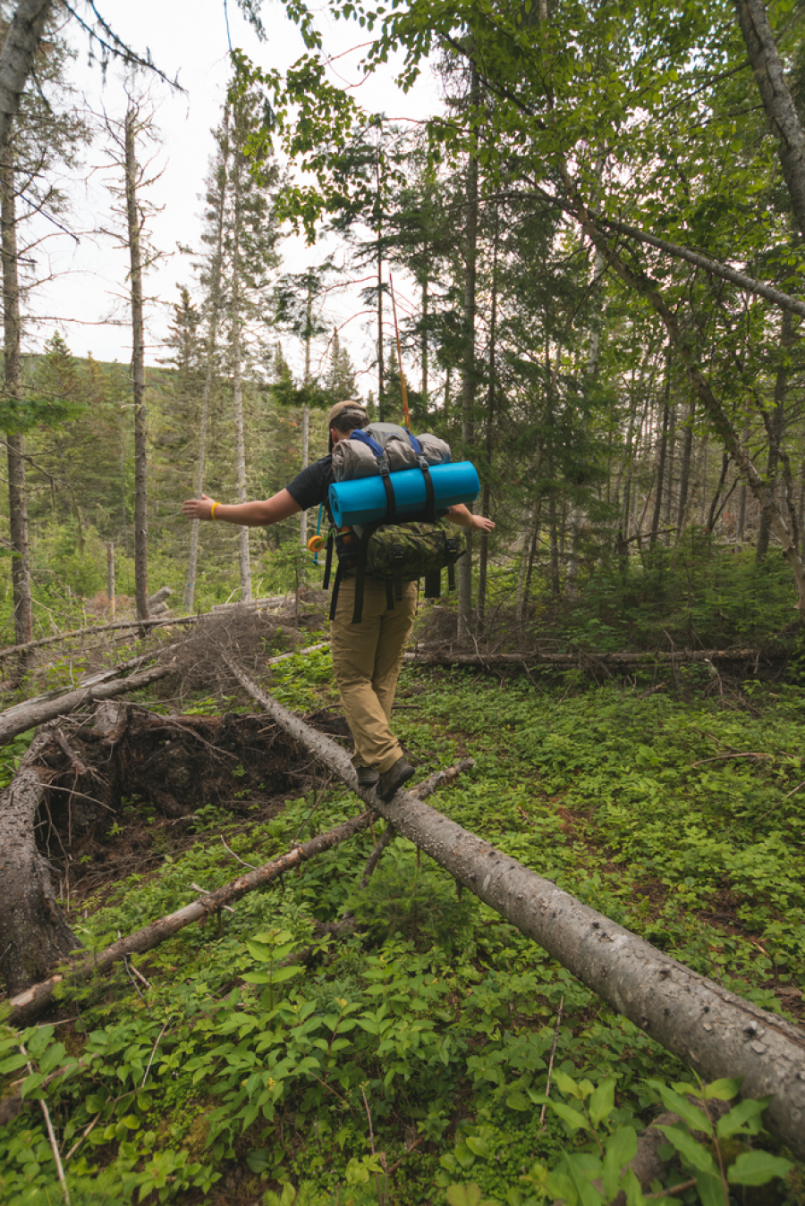 Nepisiguit Migmaq Trail, New Brunswick, Canada