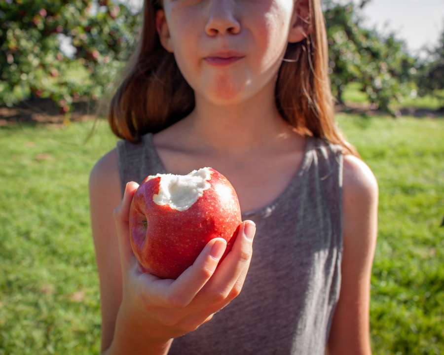 Everetts Orchard_Fredericton_New Brunswick