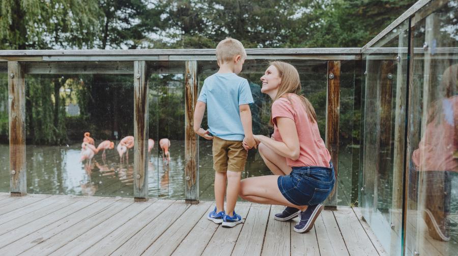 magnetic hill zoo