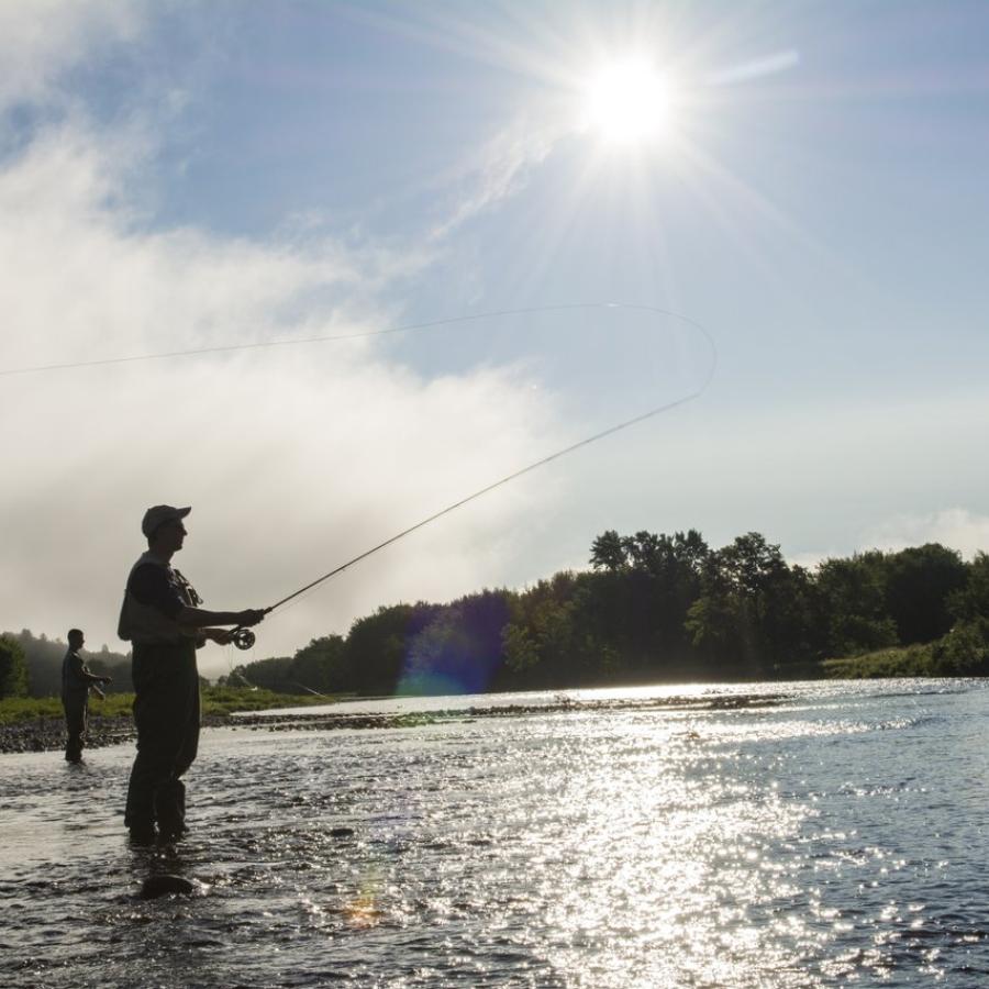 Fishing Miramichi River